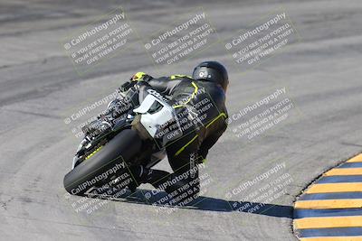 media/Feb-04-2024-SoCal Trackdays (Sun) [[91d6515b1d]]/4-Bowl Backside (11am)/